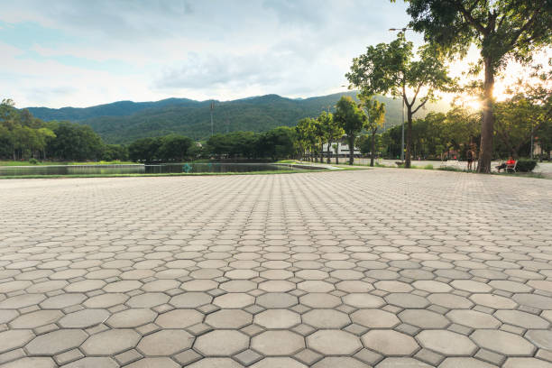 Best Concrete Paver Driveway  in Wauchula, FL